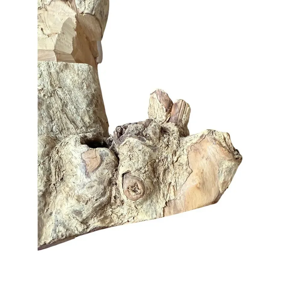 Unbranded coffee root